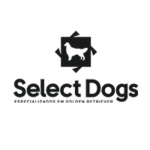 select dogs